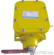 THZL-B-II縱向撕裂開關，撕裂檢測裝置，批發(fā)工程案例