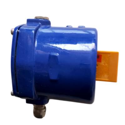 220V打滑開關(guān)FLXD-1、220V速度打滑檢測器BDS2A生產(chǎn)